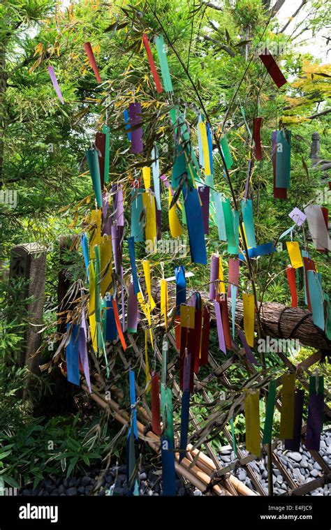 Tanzaku Tied To A Tree For The Tanabata Festival In The Garden Of The