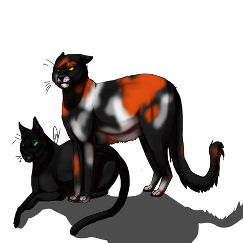 Sol and Hollyleaf by haruyo78 on DeviantArt