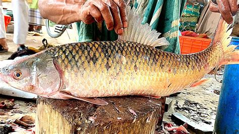 Fastest Live Giant Carp Fish Cutting Skills Amazing Big Carp Fish