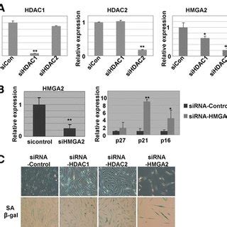 HDAC Inhibitors Regulate JMJD3 Expression By Histone H3 Acetylation