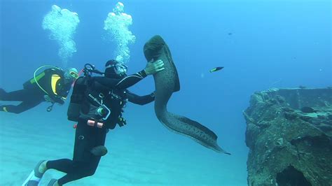 Scuba Diving In Mauritius October Youtube