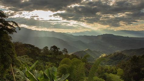 Campesinos La Voluntad Del Territorio