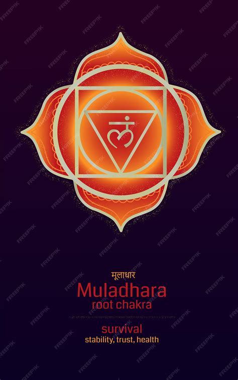 Premium Vector Muladhara Chakra Symbol With Description Colorful Mandala With Golden Lines Red