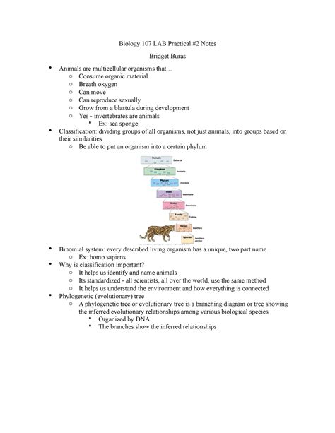 Lab Practical Review Biology Lab Practical Notes Bridget