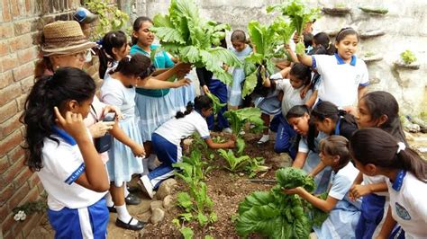 Día Mundial De La Educación Ambiental 2021 Secretaría De Medio