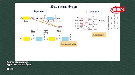 Хими Байгалийн полимер уураг өөх тосны бүтэц Багш ЖЭнэбиш Youtube