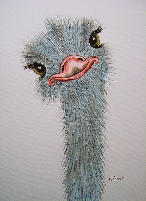 20 Emu Ideas Emu Emus Art Bird Art