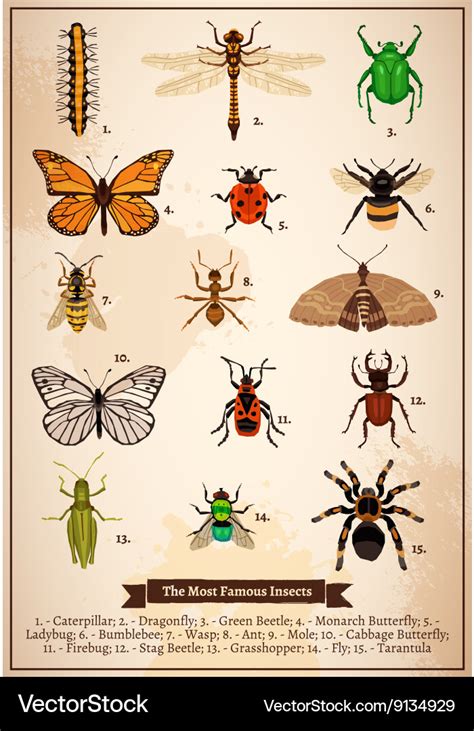 Insects Vintage Book Page Royalty Free Vector Image