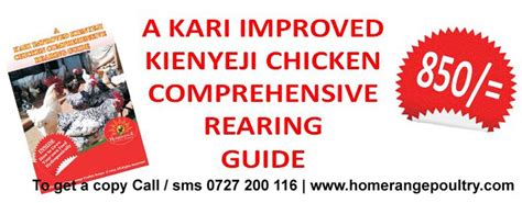 Kari Improved Kienyeji Chicken Homerange Poultry Kenya Training On