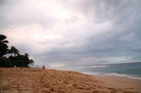 Attaque De Requin Sur Le North Shore Surf Session Magazine