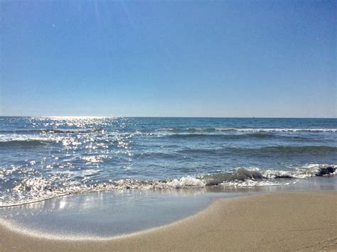 A Very Pleasant Nude Beach In Italy Oasi Naturista Capocotta Lido