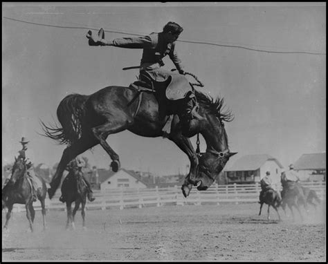 [Photograph of a Bronc Rider] - The Portal to Texas History