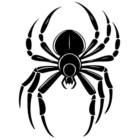 Spider Drawing Vector Images Over 11000