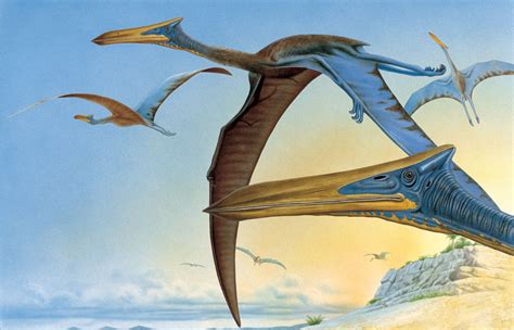 El Quetzalcoatlus - Taringa!