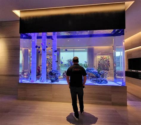 Luxurious RedFin Aquarium Design