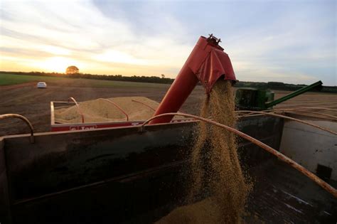 Falta Gasoil En El Campo Un Insumo Clave En Medio Del Inicio De La