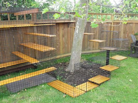 Safety Outdoors Cat Enclosures And Cages Purrfect Love