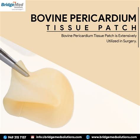 Bovine Pericardium Tissue Patch