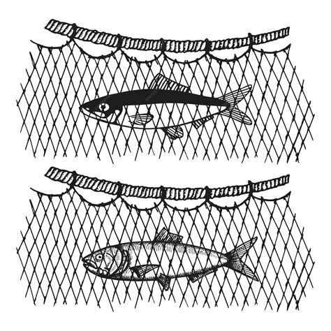 Premium Vector | Fish in a vector fishing net hand drawing illustration