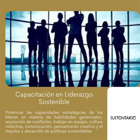 Liderazgo sostenible Ambitos económico ambiental y social