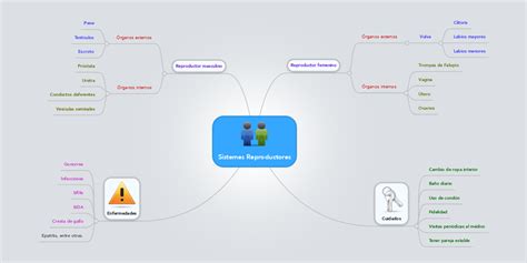 Sistemas Reproductores Mindmeister Mapa Mental