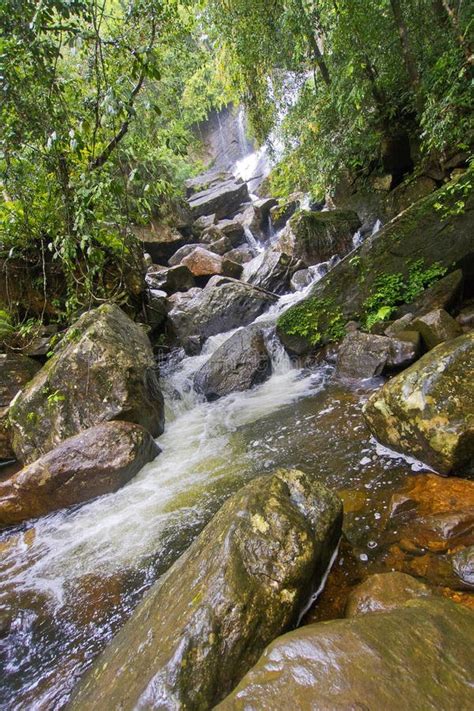 Cascada Parque Nacional Sinharaja Selva Sri Lanka Imagen De Archivo