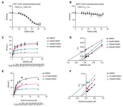 Cell Chemical Biology丨铁死亡新型激活剂 铁死亡敏化剂 1 Fsen1 知乎