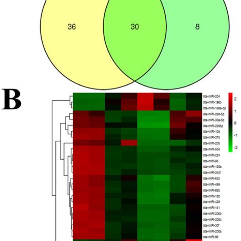 Differential Expression Of Mirnas Analyzed In Bovine Endometrial