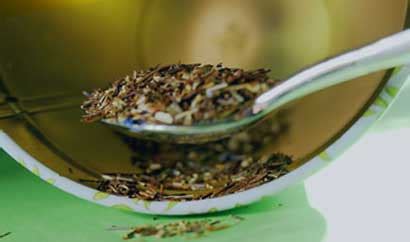 What is Mate Tea? What are the Benefits?