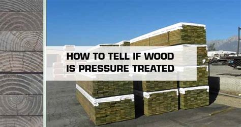 How To Tell If Wood Is Pressure Treated Simple Techniques