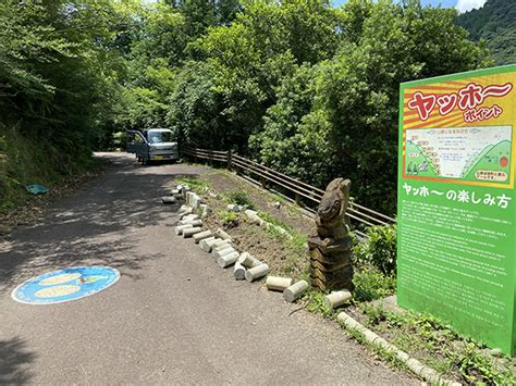 日高川町の奥地にやまびこで遊べる「ヤッホーポイント」 和歌山道の駅ドットコム