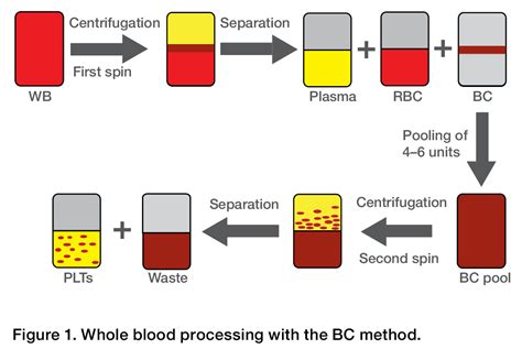 Why Do We Centrifuge Blood Samples At Ruby Williams Blog