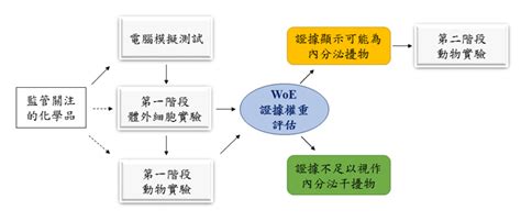 認識內分泌干擾物內分泌干擾物篩檢之證據權重法則 國家環境毒物研究中心