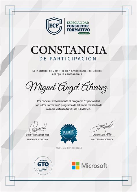 Especialidad Consultor Formativo