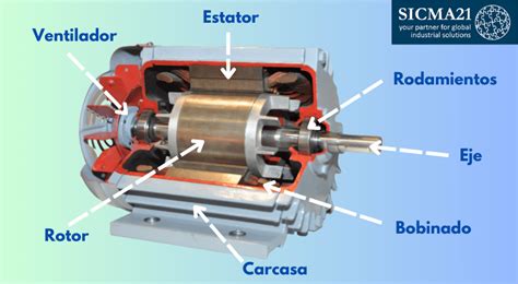 Cómo Se Realiza El Mantenimiento De Un Motor Eléctrico