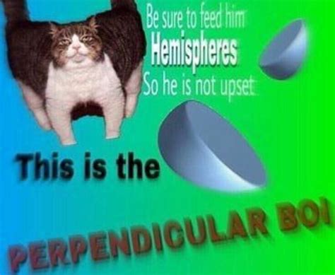 Ah I Love Surreal Memes Best Memes Dankest Memes Meme Meme Stupid