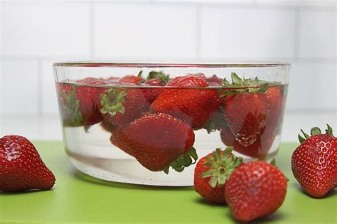 Comment Conserver Des Fraises Voici Mes Techniques Pour Conserver Les