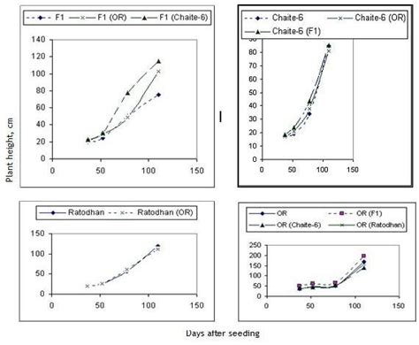 Trend Of Plant Height Of Rice Genotypes Grown In Crop And Competition