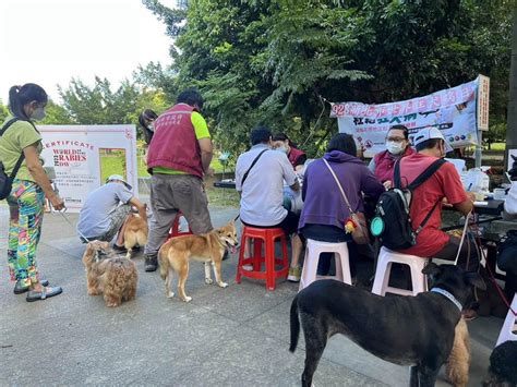 928世界狂犬病日 施打疫苗可領寵物頸牌還有好禮送 生活 工商時報