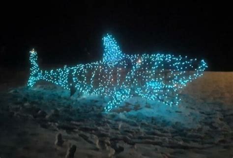 Cool Christmas Decorations (37 pics)