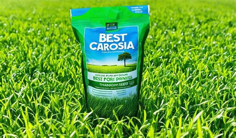 Best Grass Seed For South Carolina