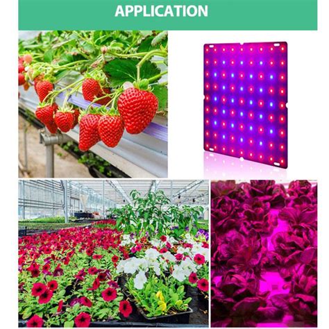 Types Phyto Lamp Kit Led Plant Grow Light Indoor Growing Tent Full