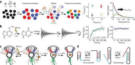 Characterizing Conformational Transitions Occurring At Millisecond And