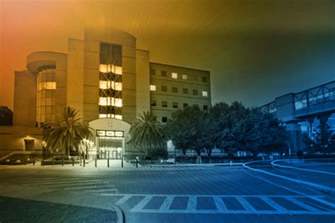 UF Health Shands - University of Florida Advancement