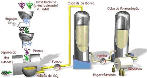 Como Se Produz Vinho Vindima Vinificação de Vinho Tinto e Vinho