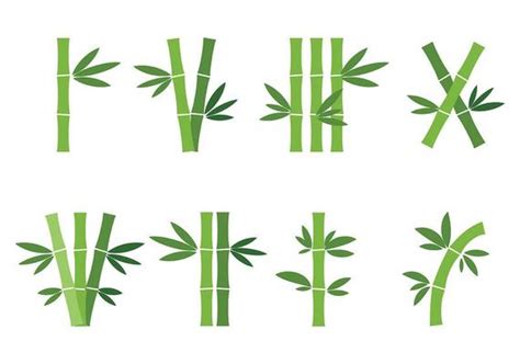 Bamboo Vector Art Icons And Graphics For Free Download