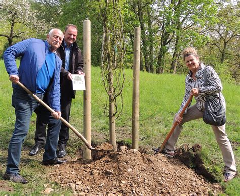 17 Baum Des Jahres Ard 2 Hallo Wochenende