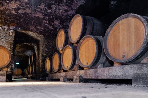 Ruta enológica por las bodegas de Almansa