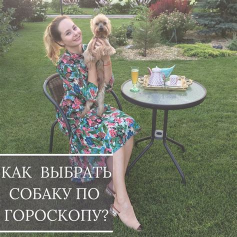 Персональная Натальная... - Персональная Натальная Карта