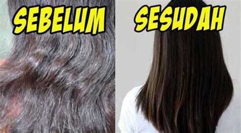 Cara Menghaluskan Rambut Kasar Dan Bercabang Cuma Pakai Bahan Alami